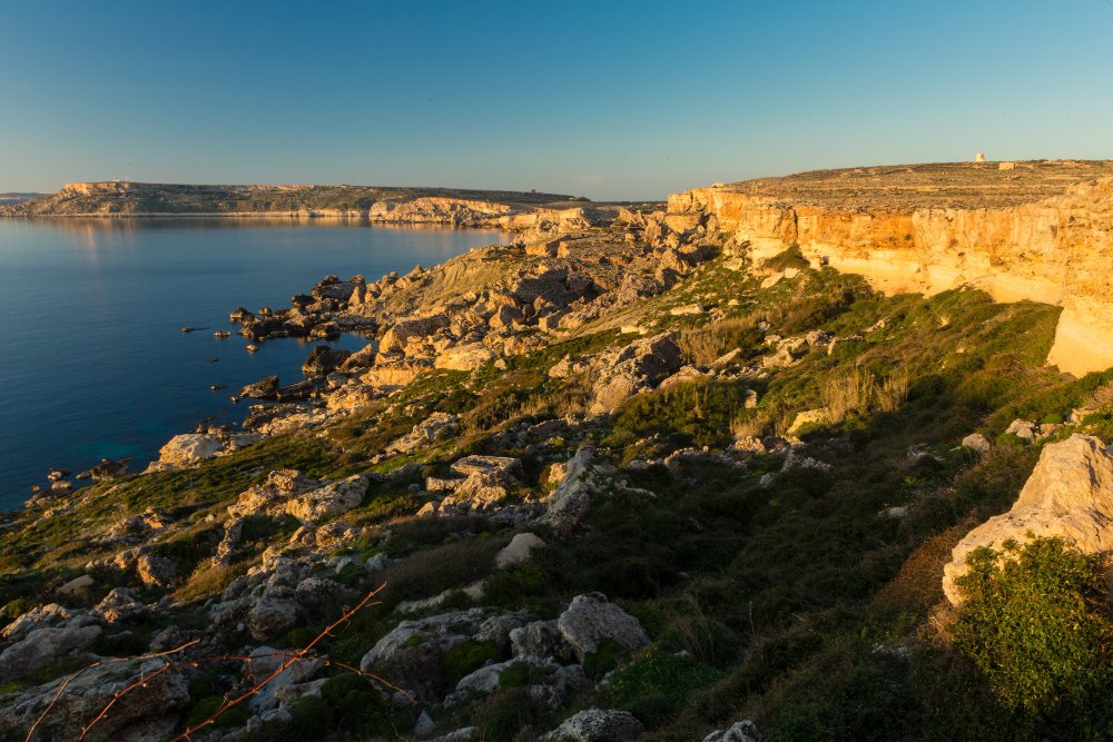 Transporte Terrestre en Baleares